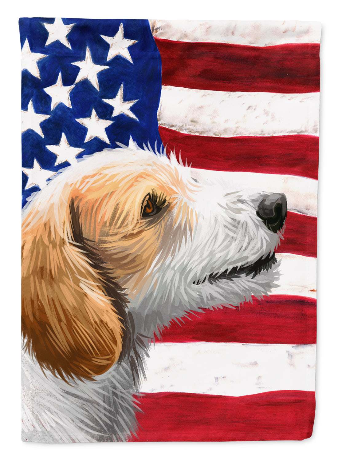 Istrian Coarse-haired Hound American Flag Flag Canvas House Size CK6574CHF  the-store.com.