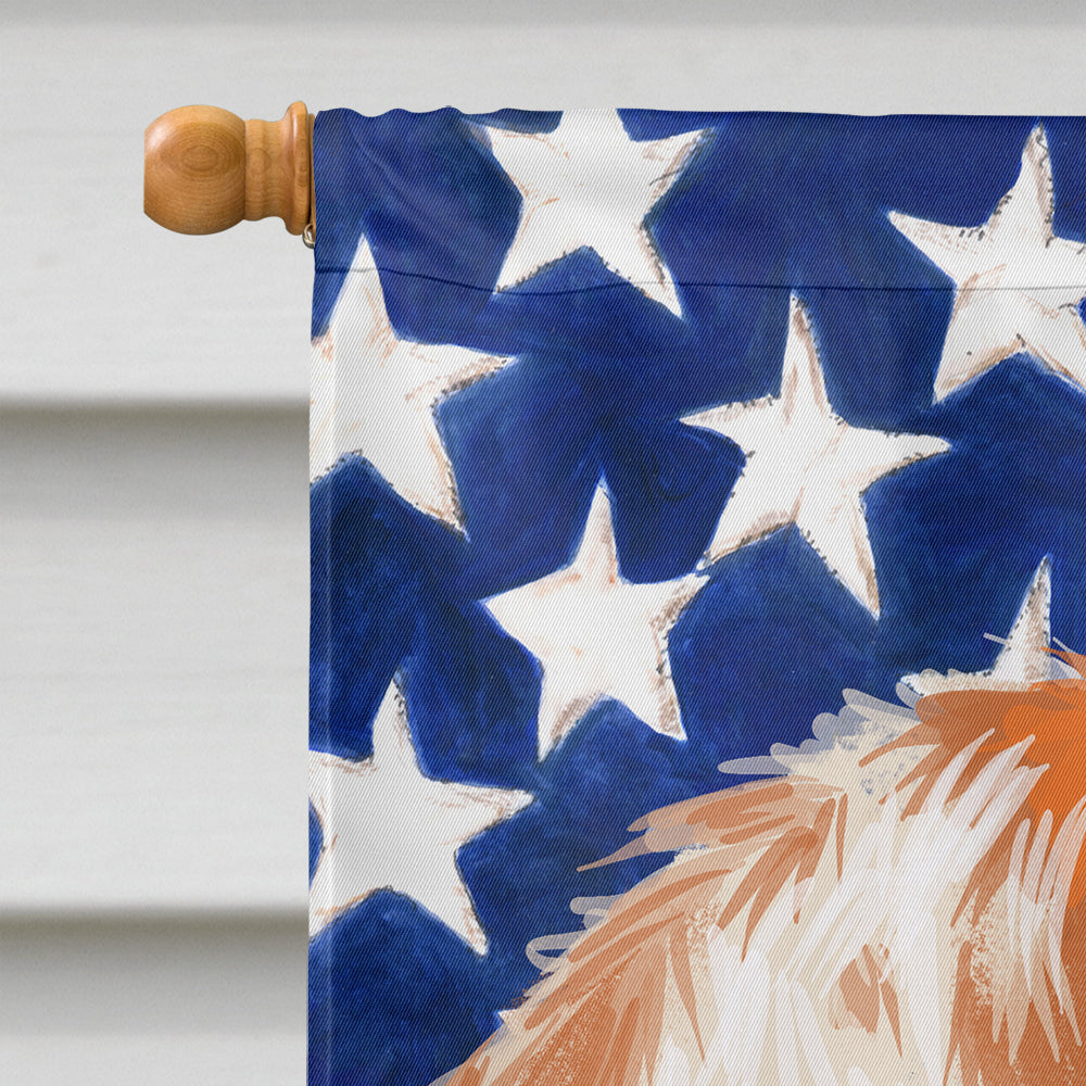 Istrian Shorthaired Hound American Flag Flag Canvas House Size CK6575CHF  the-store.com.