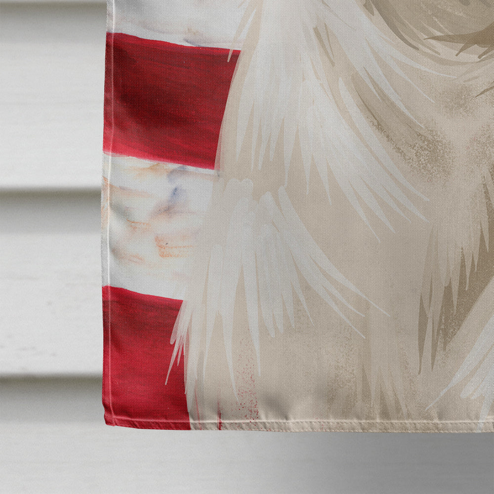 Istrian Shorthaired Hound American Flag Flag Canvas House Size CK6575CHF  the-store.com.