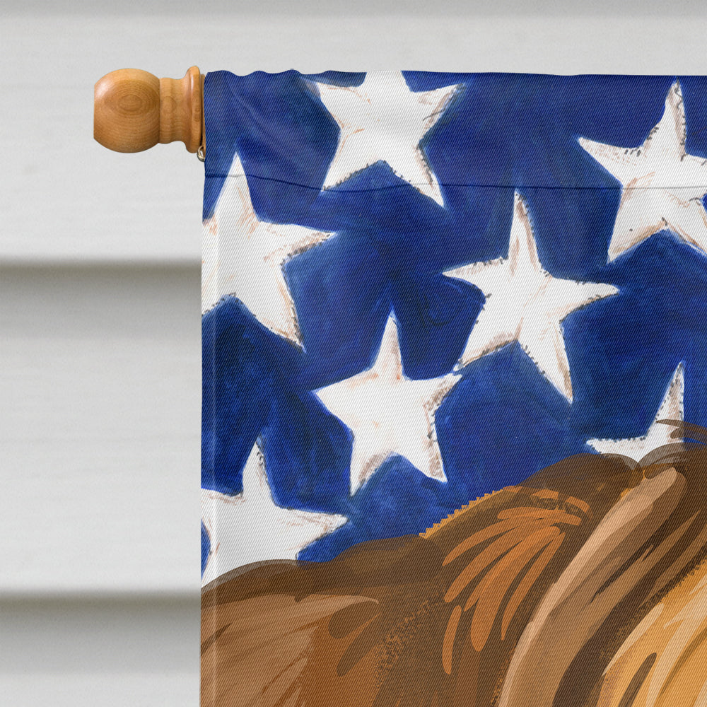 Tosa American Flag Flag Canvas House Size CK6741CHF  the-store.com.