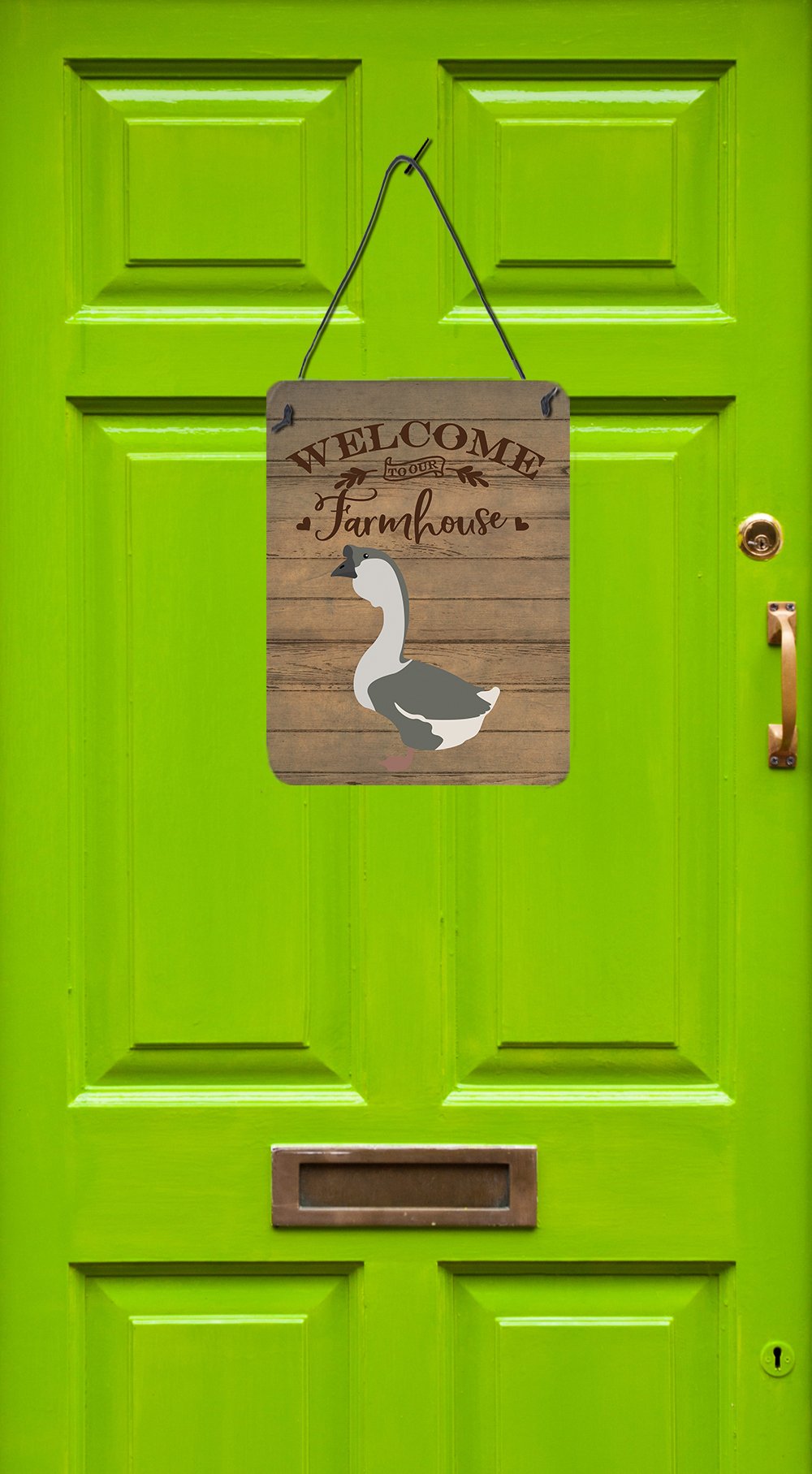 African Goose Welcome Wall or Door Hanging Prints CK6843DS1216 by Caroline's Treasures