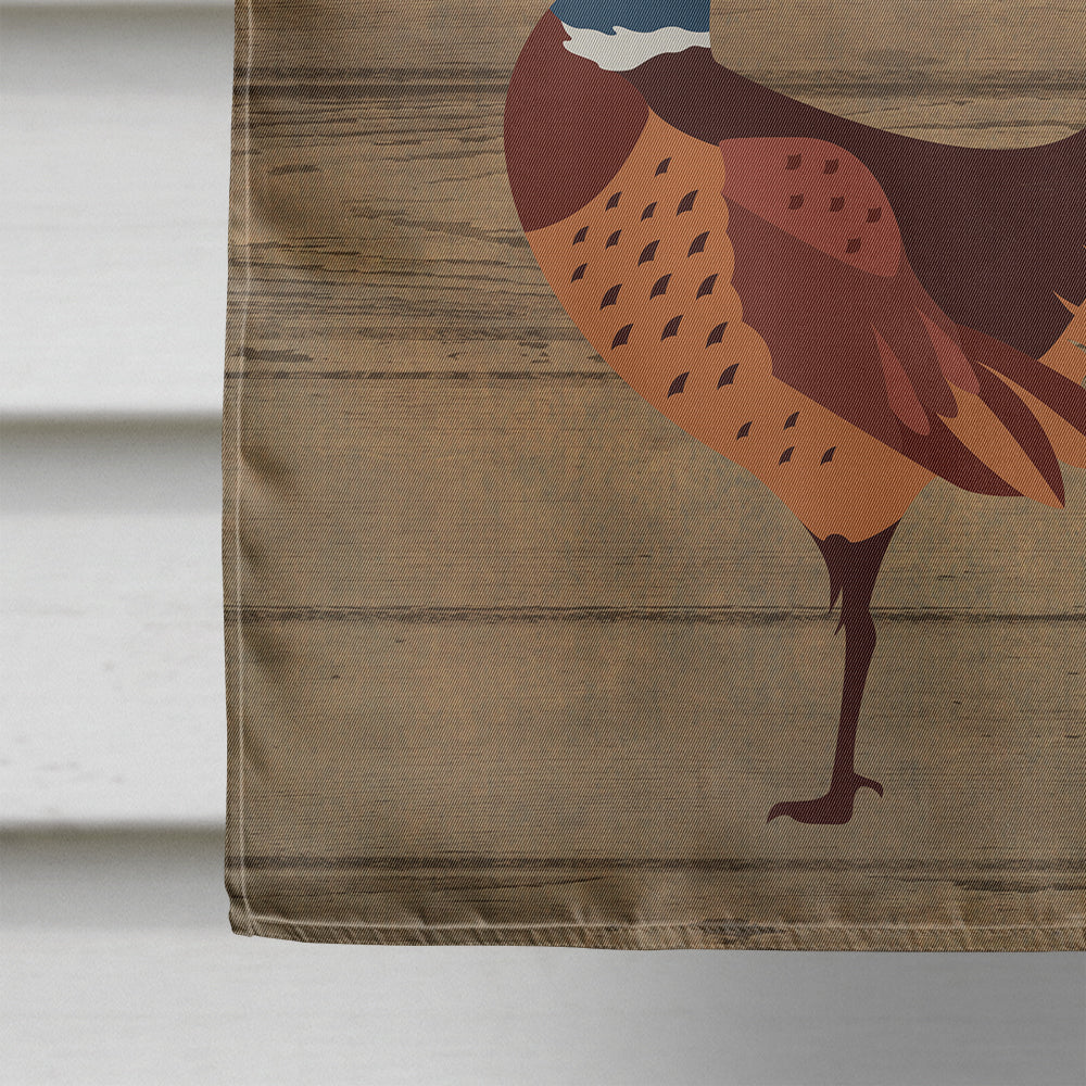 Ring-necked Common Pheasant Welcome Flag Canvas House Size CK6874CHF  the-store.com.