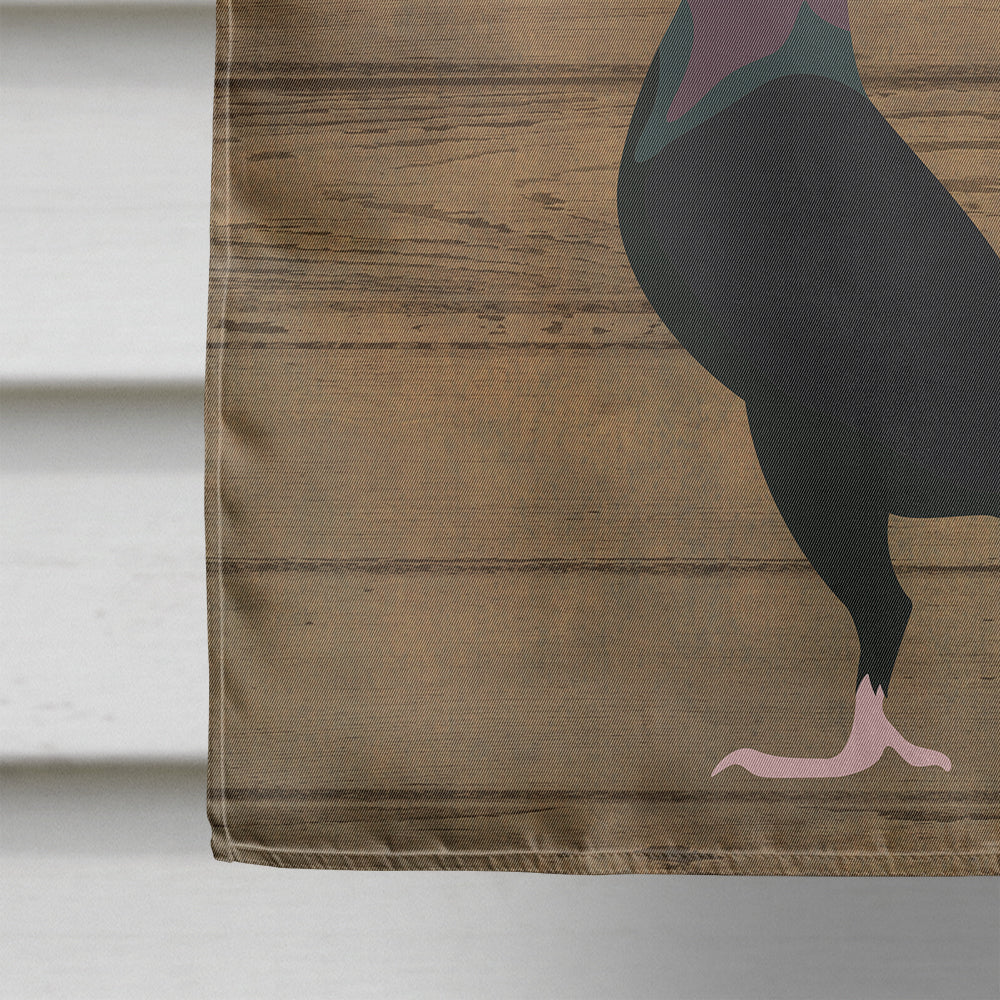 English Carrier Pigeon Welcome Flag Canvas House Size CK6889CHF  the-store.com.