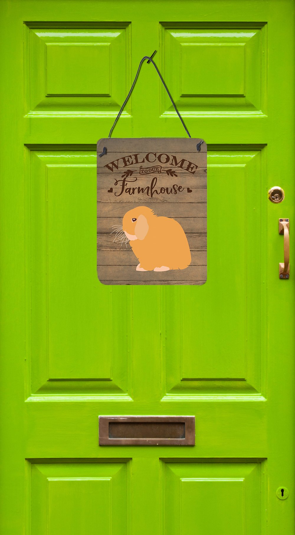 Holland Lop Rabbit Welcome Wall or Door Hanging Prints CK6912DS1216 by Caroline's Treasures