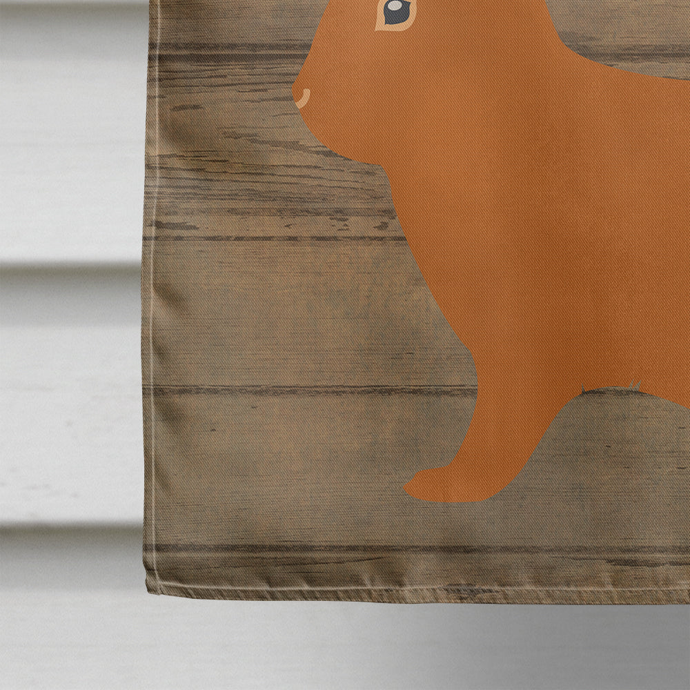 Rex Rabbit Welcome Flag Canvas House Size CK6913CHF  the-store.com.