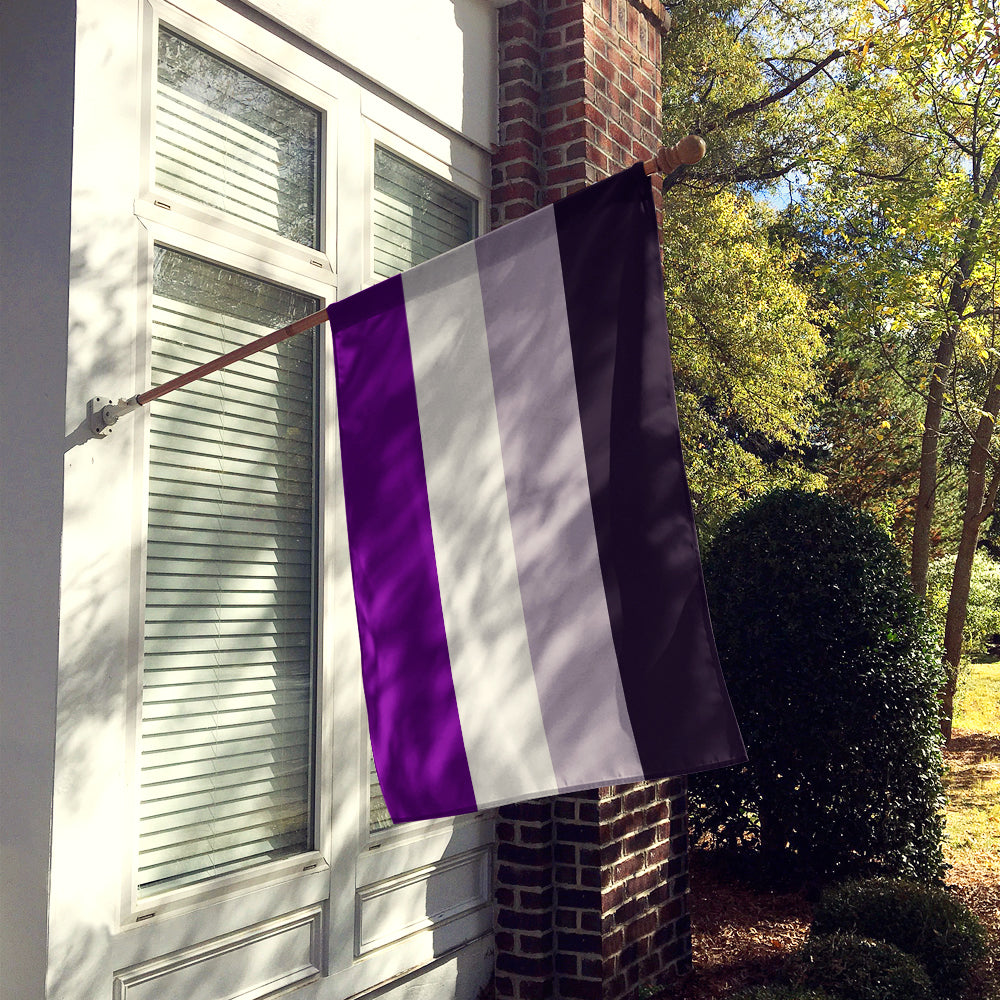 Asexual Pride Flag Canvas House Size  the-store.com.