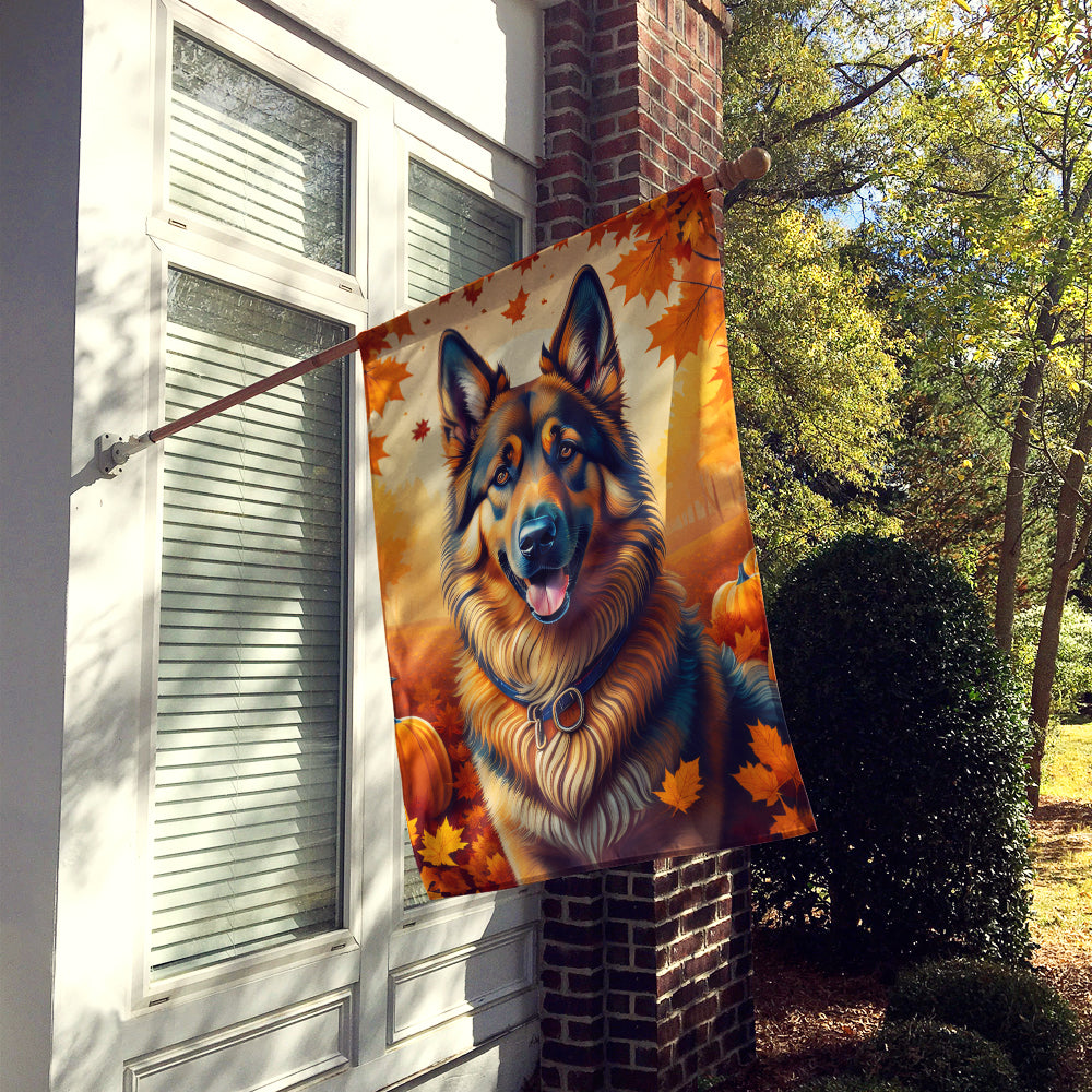 Buy this Belgian Tervuren Fall House Flag