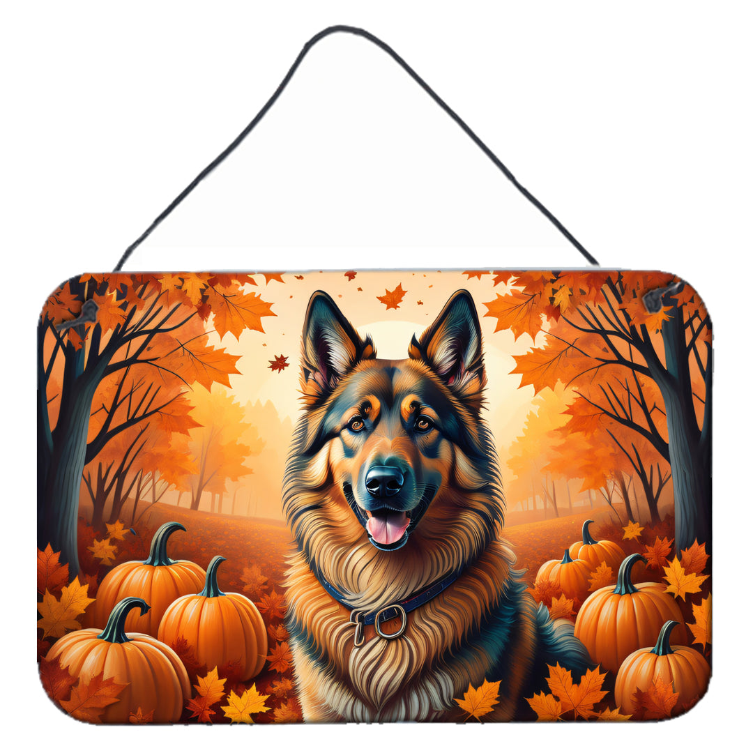 Buy this Belgian Tervuren Fall Wall or Door Hanging Prints