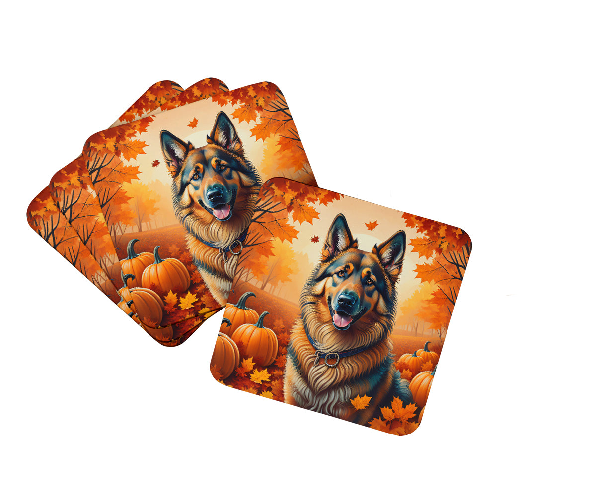 Buy this Belgian Tervuren Fall Foam Coaster Set of 4