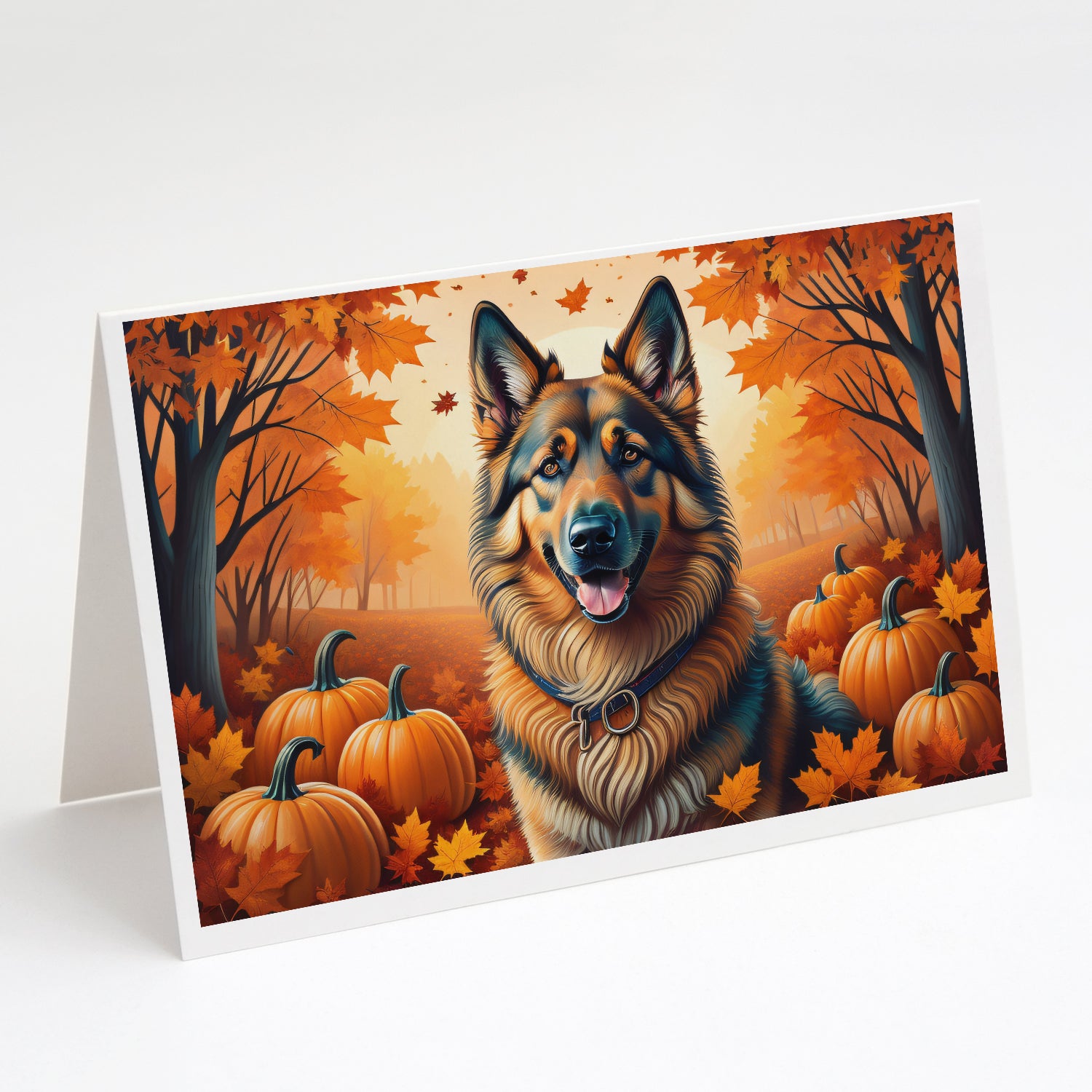 Buy this Belgian Tervuren Fall Greeting Cards and Envelopes Pack of 8