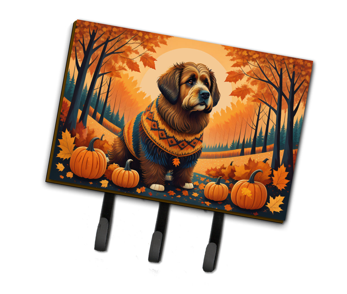 Buy this Briard Fall Leash or Key Holder