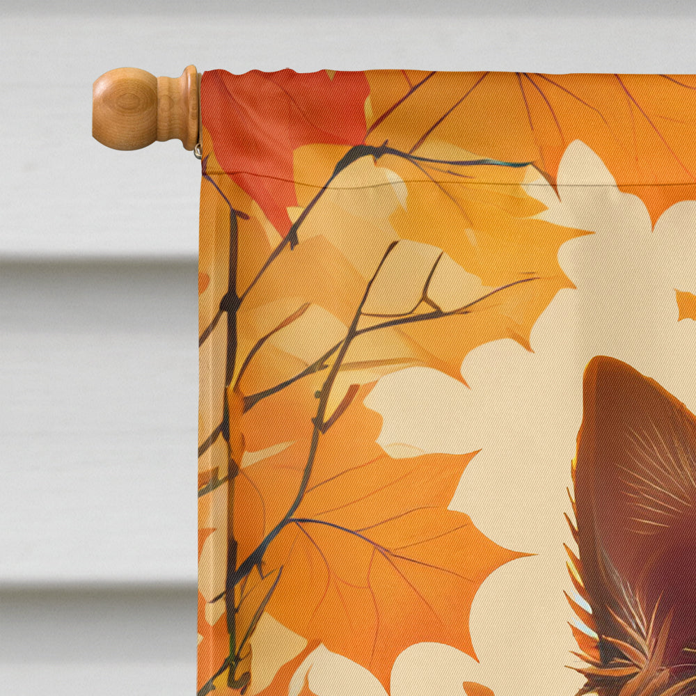 Norwich Terrier Fall House Flag  the-store.com.