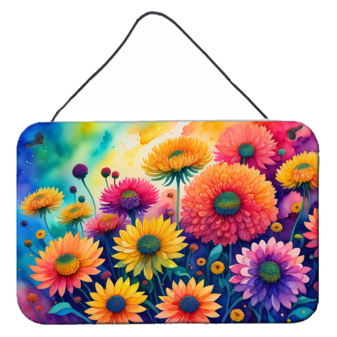 Buy this Chrysanthemums in Color Wall or Door Hanging Prints