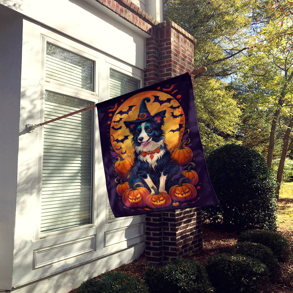 Buy this Border Collie Witchy Halloween House Flag