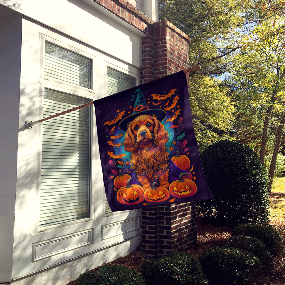 Buy this Cocker Spaniel Witchy Halloween House Flag