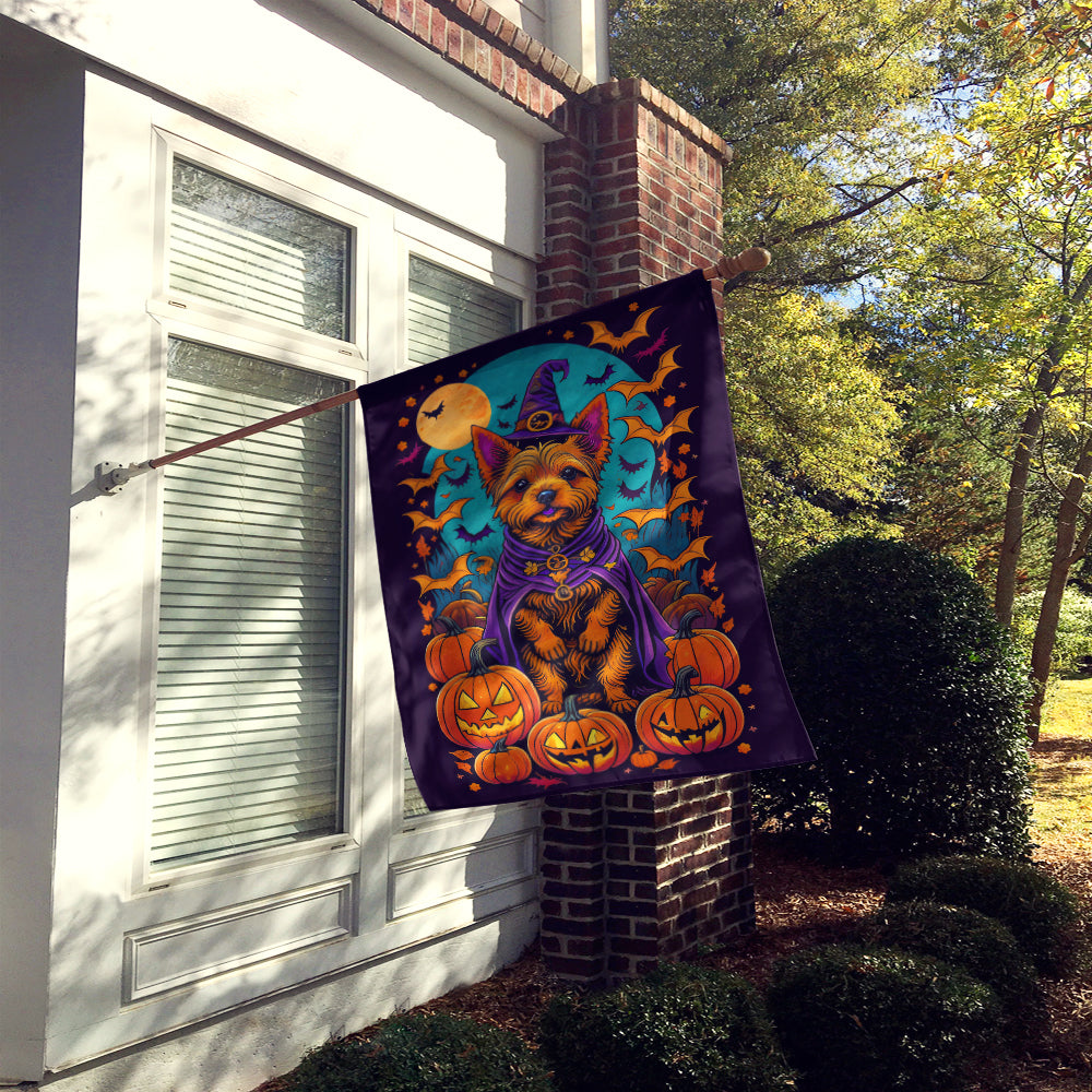 Norwich Terrier Witchy Halloween House Flag  the-store.com.