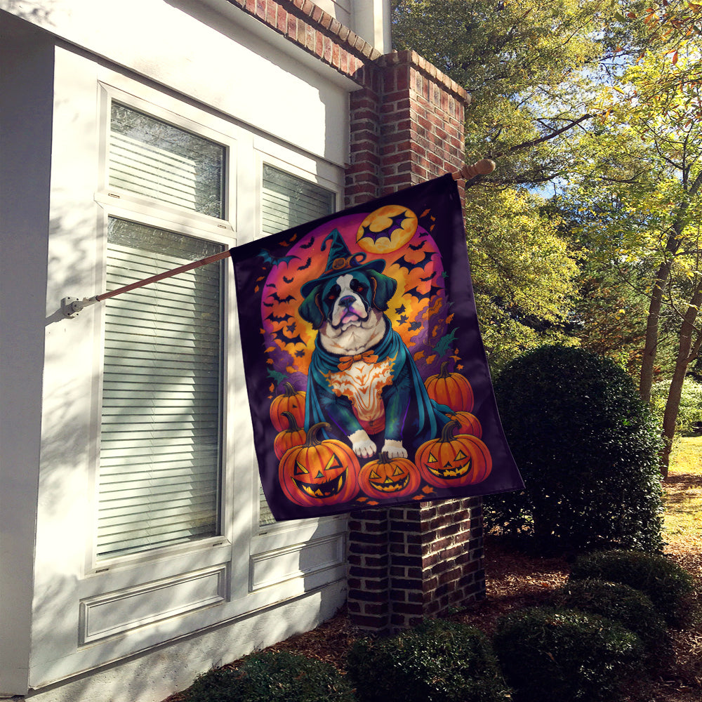 Buy this Saint Bernard Witchy Halloween House Flag