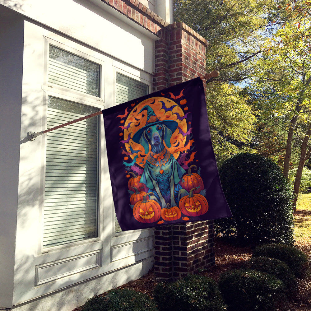 Weimaraner Witchy Halloween House Flag  the-store.com.