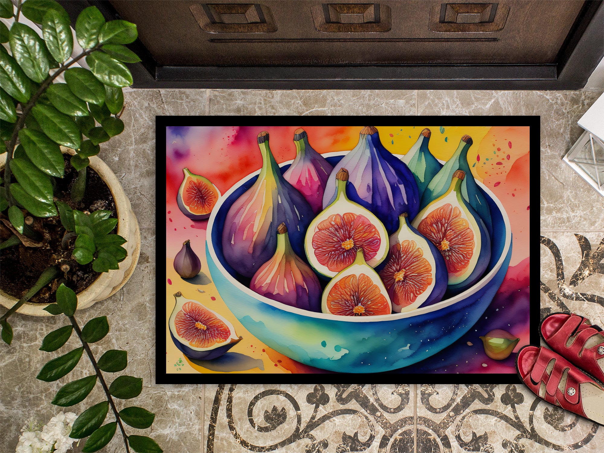 Colorful Figs Indoor or Outdoor Mat 24x36  the-store.com.