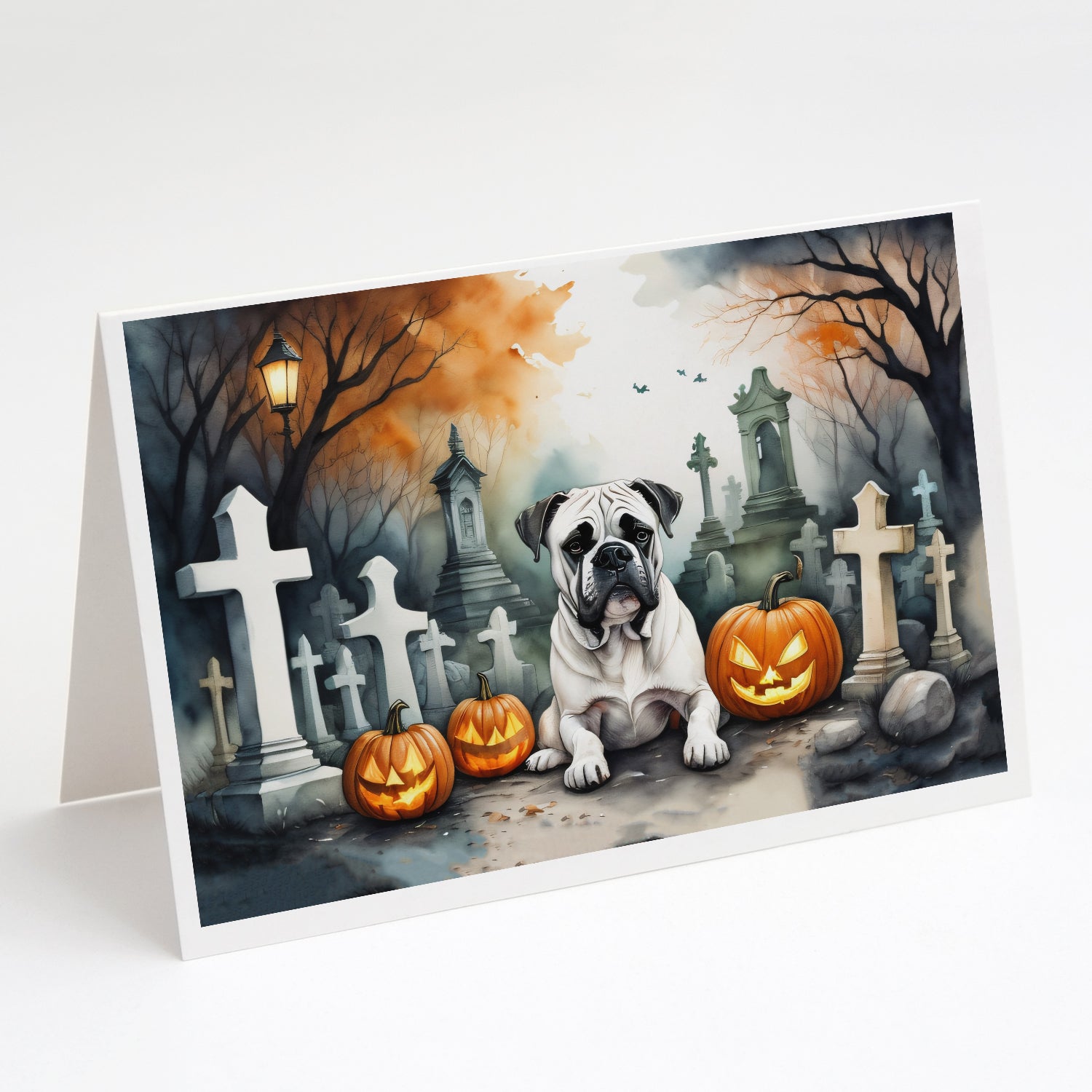 Buy this Boxer Spooky Halloween Greeting Cards and Envelopes Pack of 8