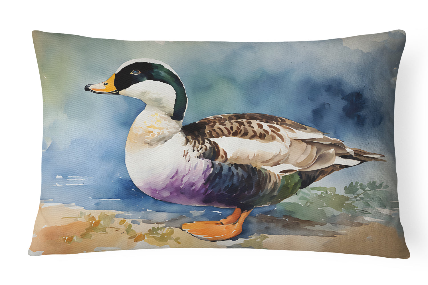 Buy this Common Eider Duck Throw Pillow