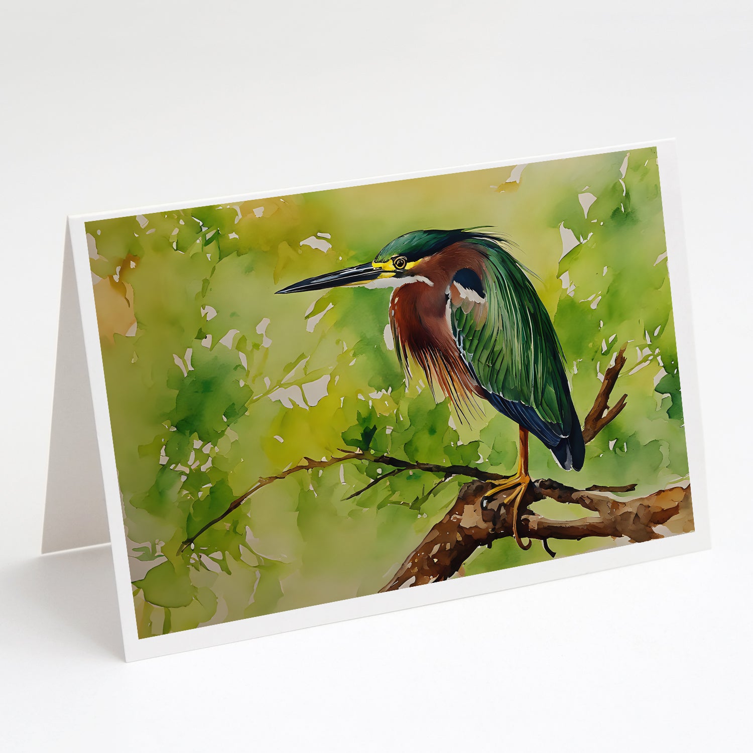 Buy this Green Heron Greeting Cards Pack of 8