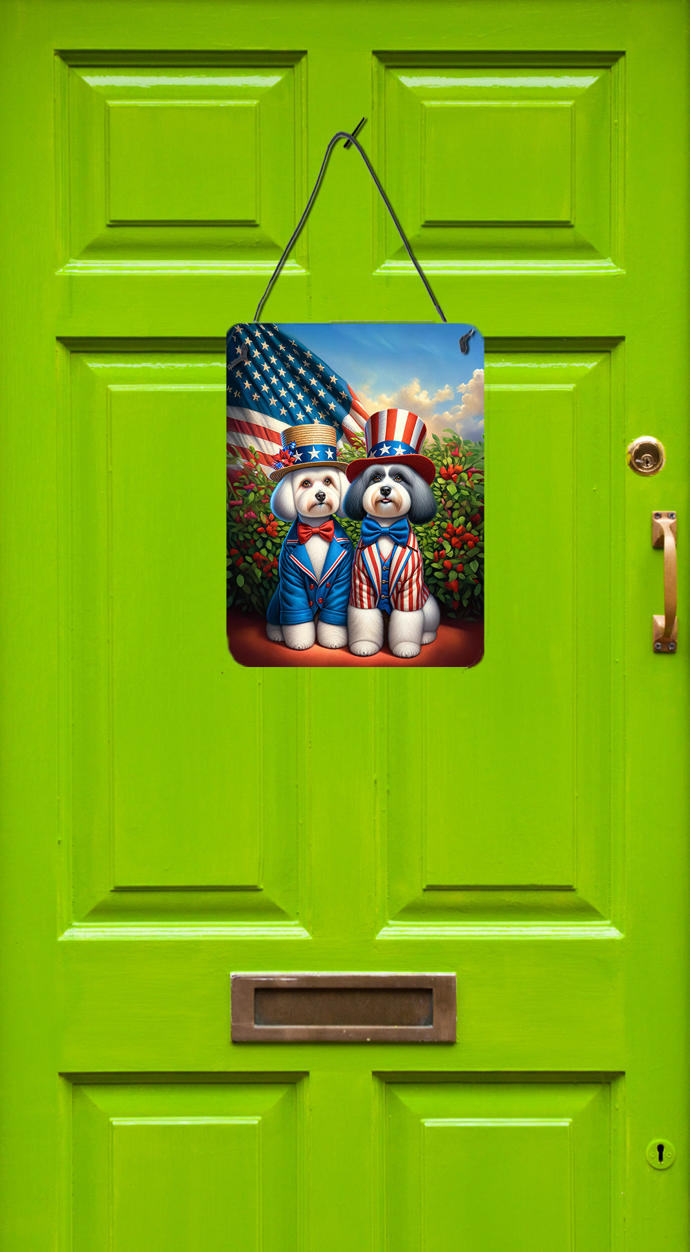 Buy this All American Havanese Wall or Door Hanging Prints