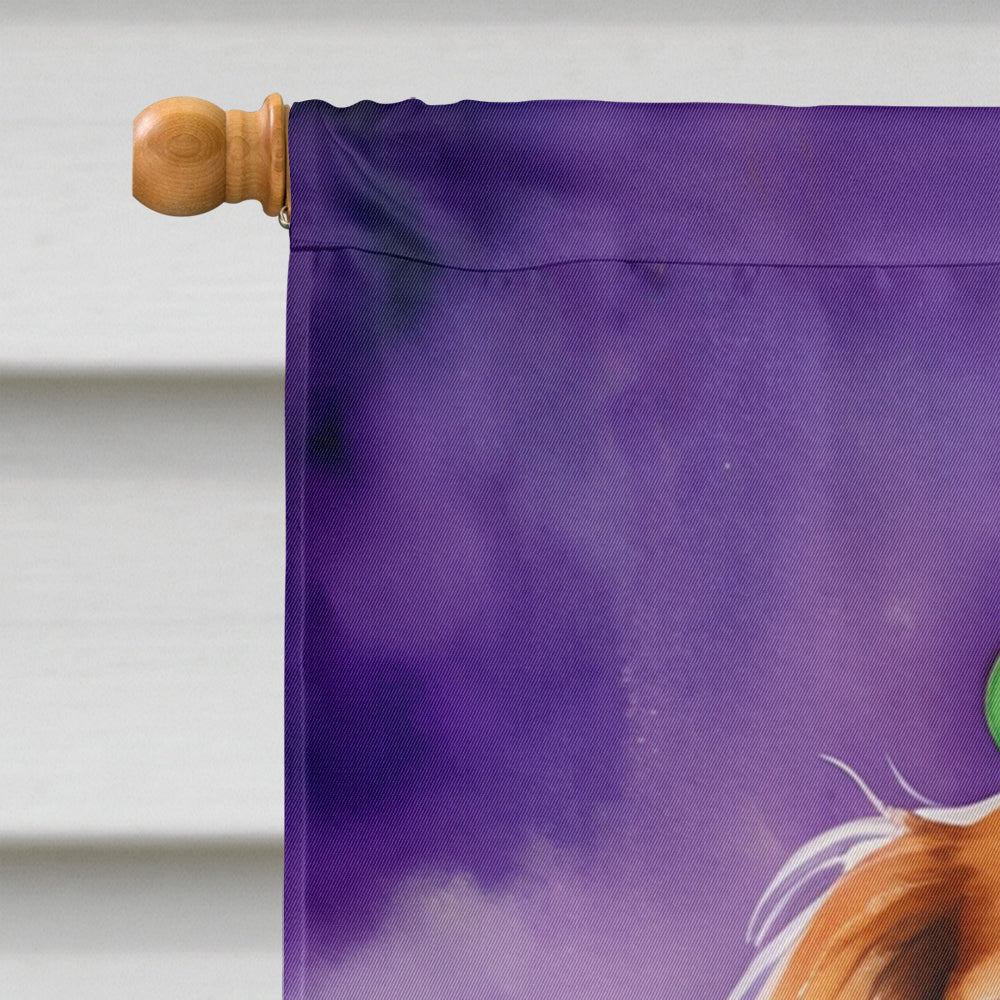 Cavalier Spaniel King of Mardi Gras House Flag