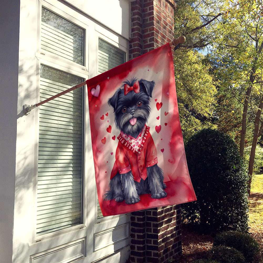 Buy this Affenpinscher My Valentine House Flag