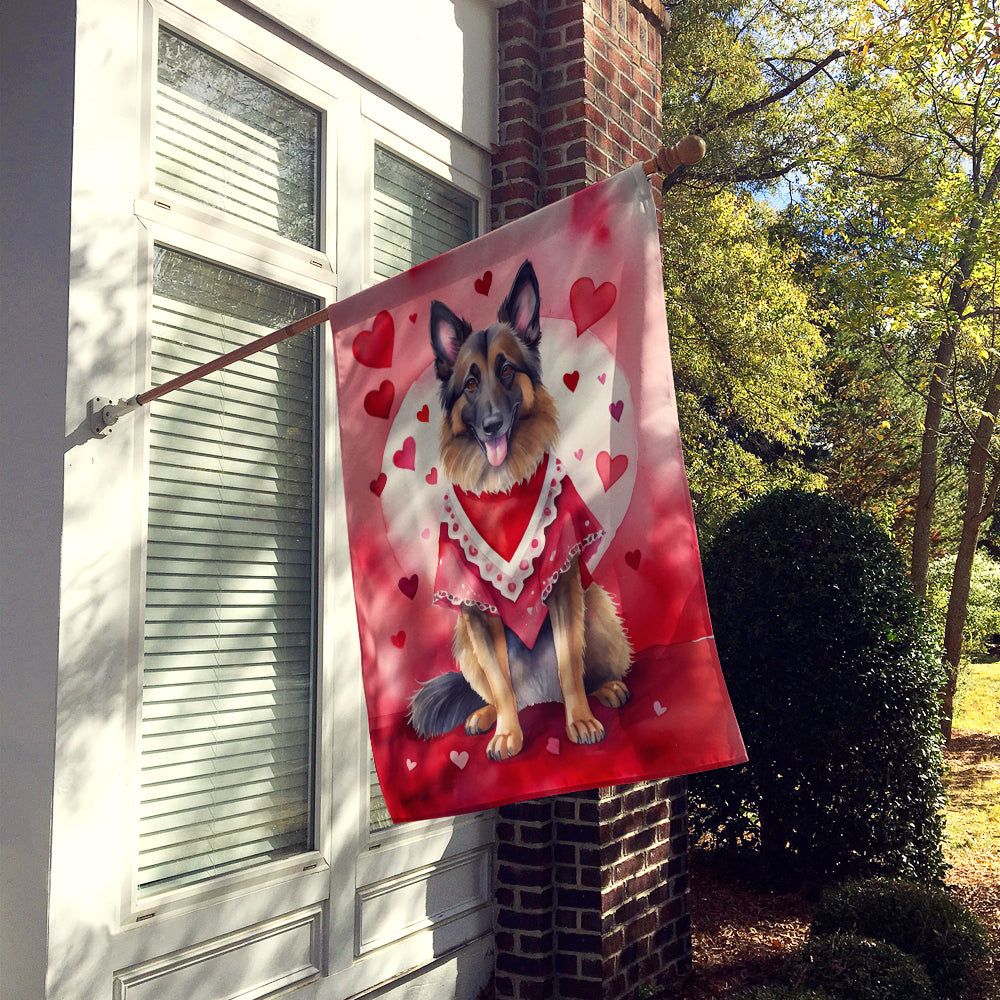 Buy this Belgian Tervuren My Valentine House Flag