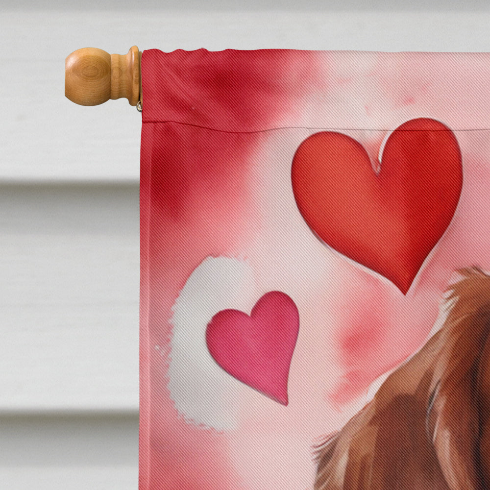 Brittany Spaniel My Valentine House Flag