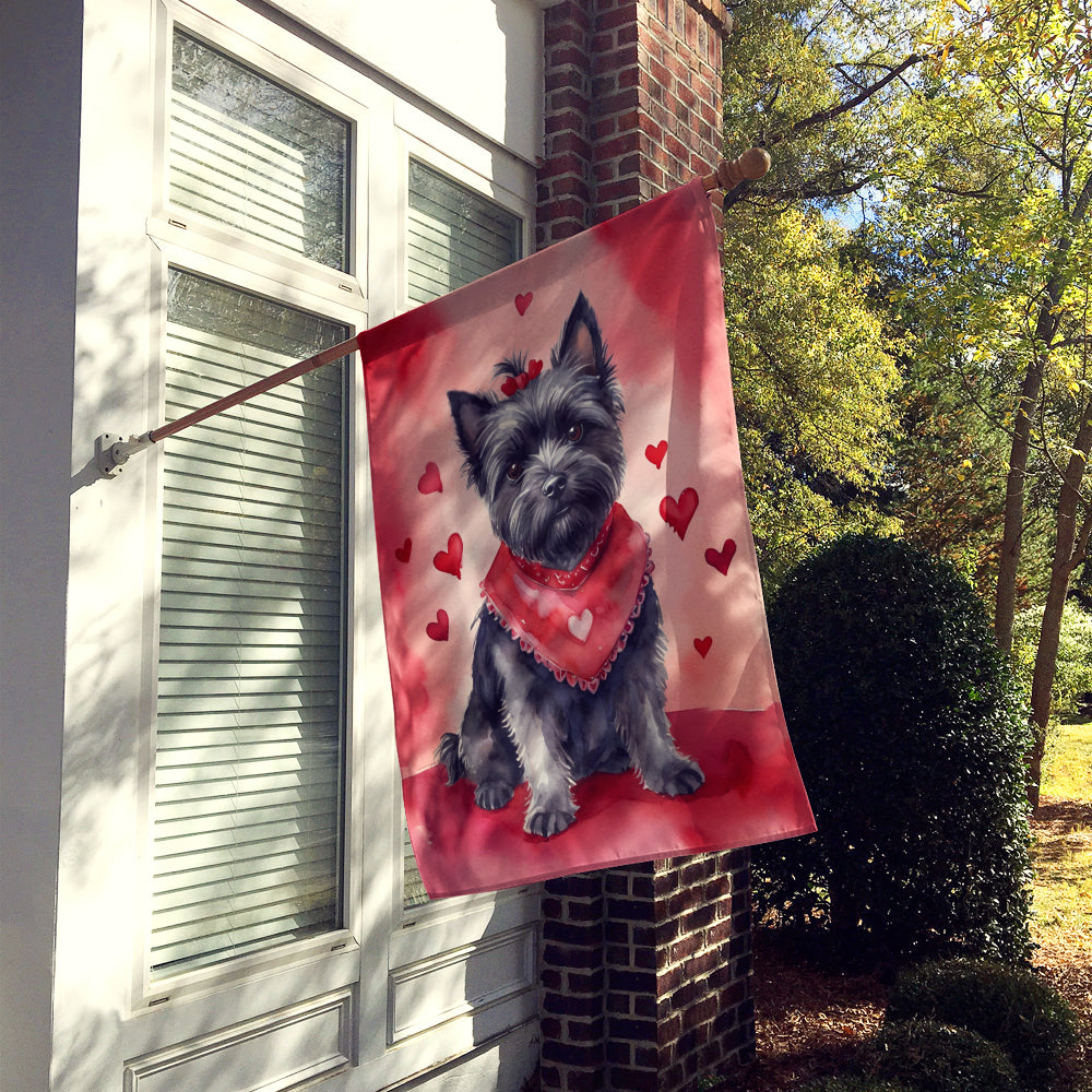 Buy this Cairn Terrier My Valentine House Flag