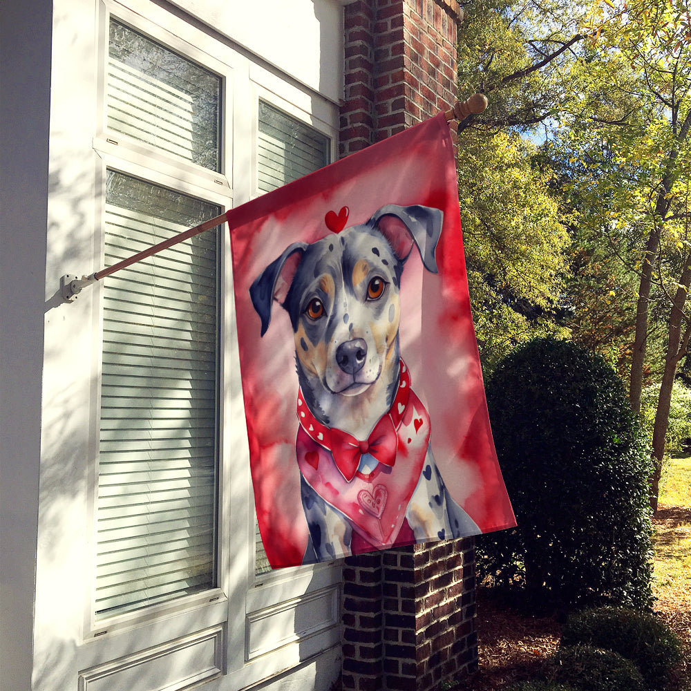 Catahoula My Valentine House Flag