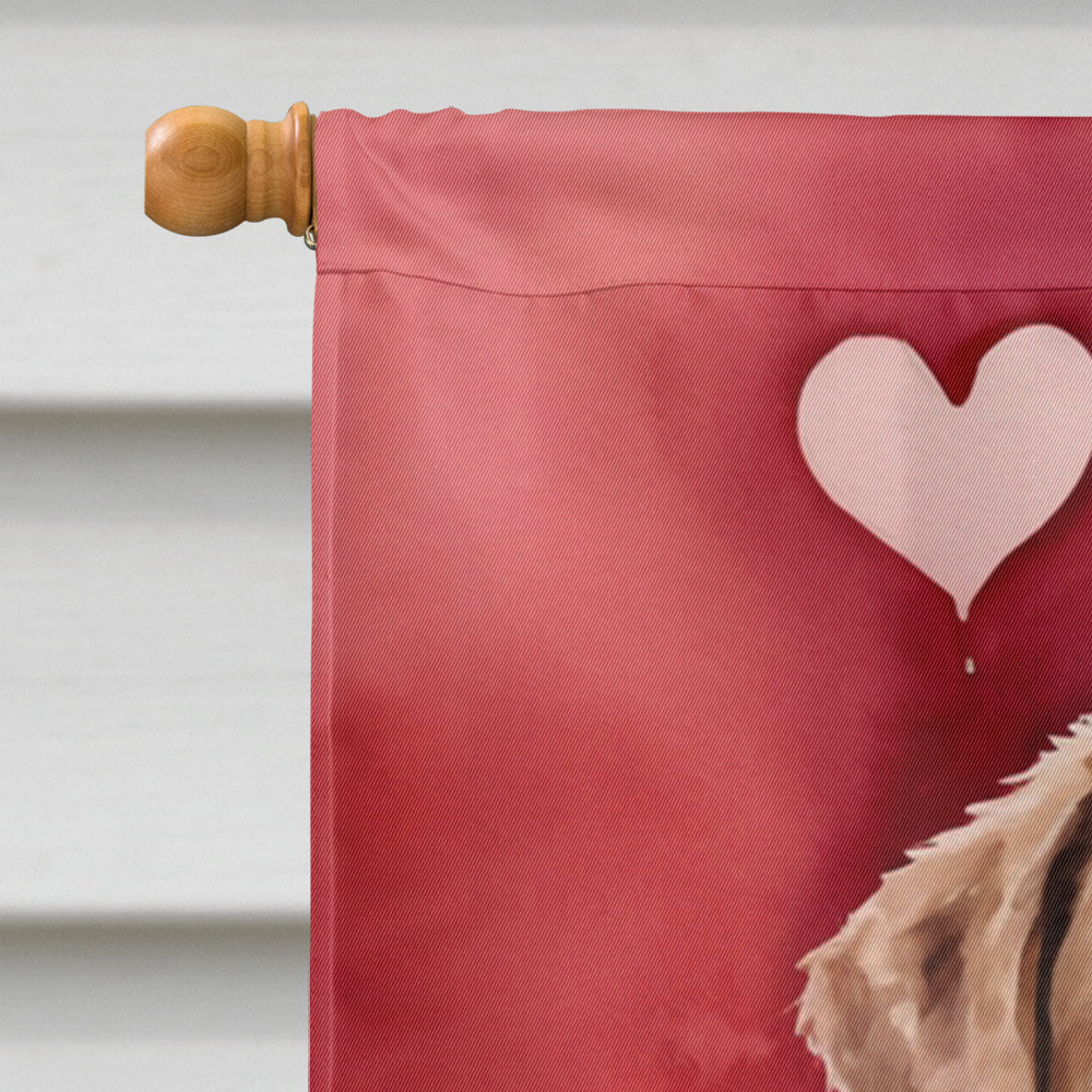 Chesapeake Bay Retriever My Valentine House Flag