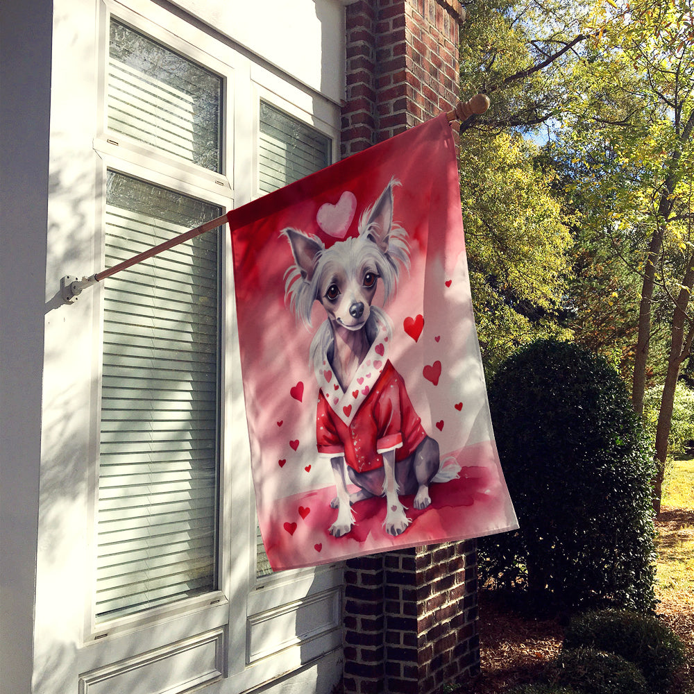 Buy this Chinese Crested My Valentine House Flag