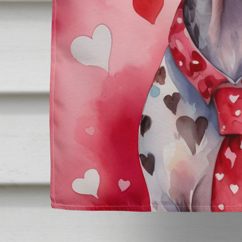 German Shorthaired Pointer My Valentine House Flag