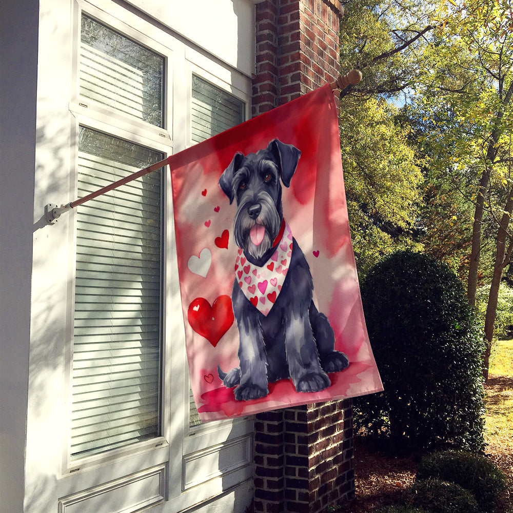 Buy this Giant Schnauzer My Valentine House Flag