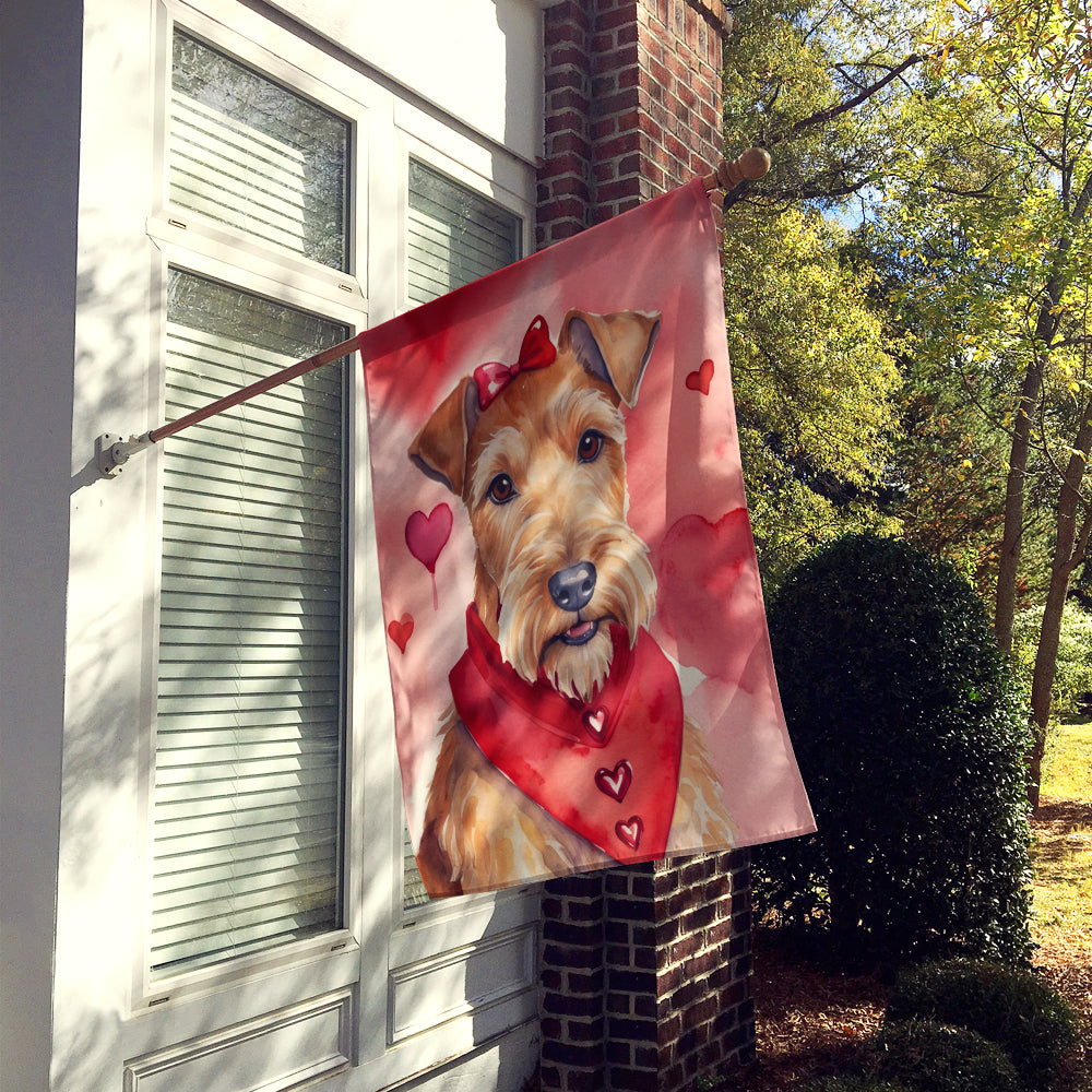 Irish Terrier My Valentine House Flag