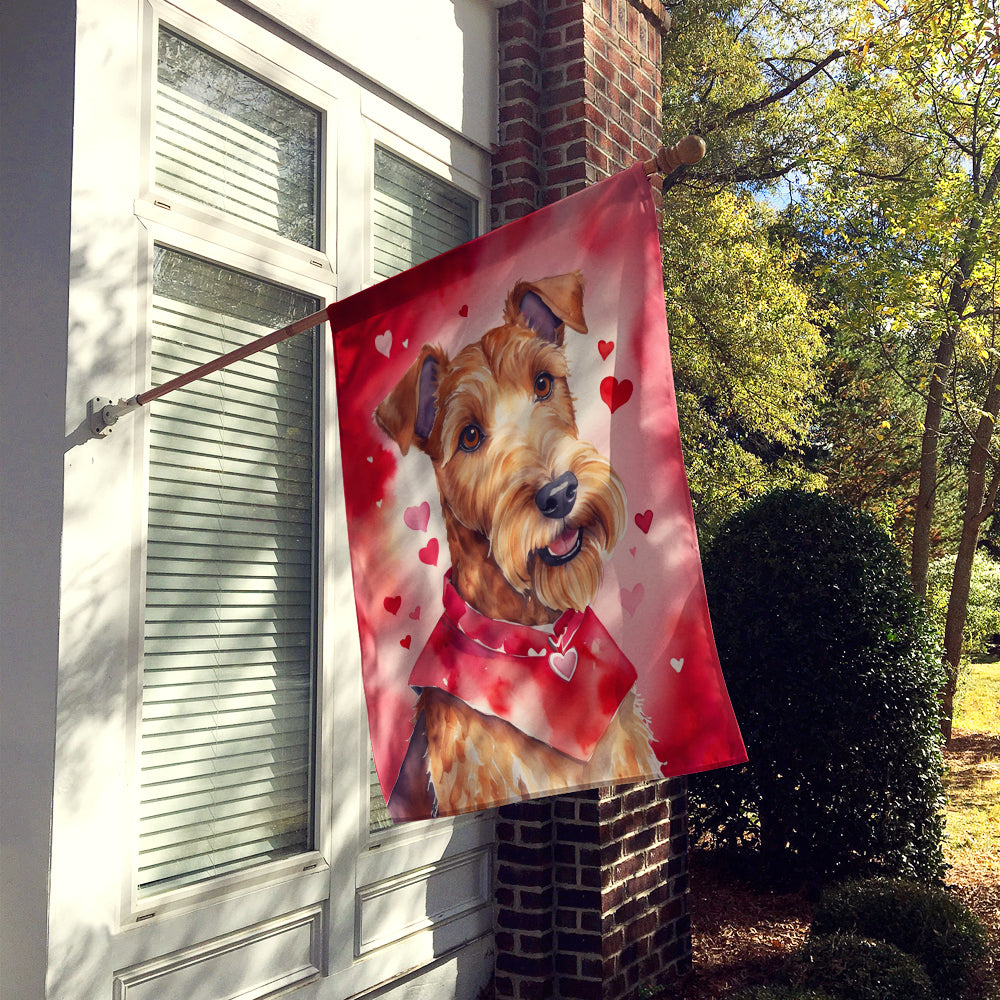 Irish Terrier My Valentine House Flag