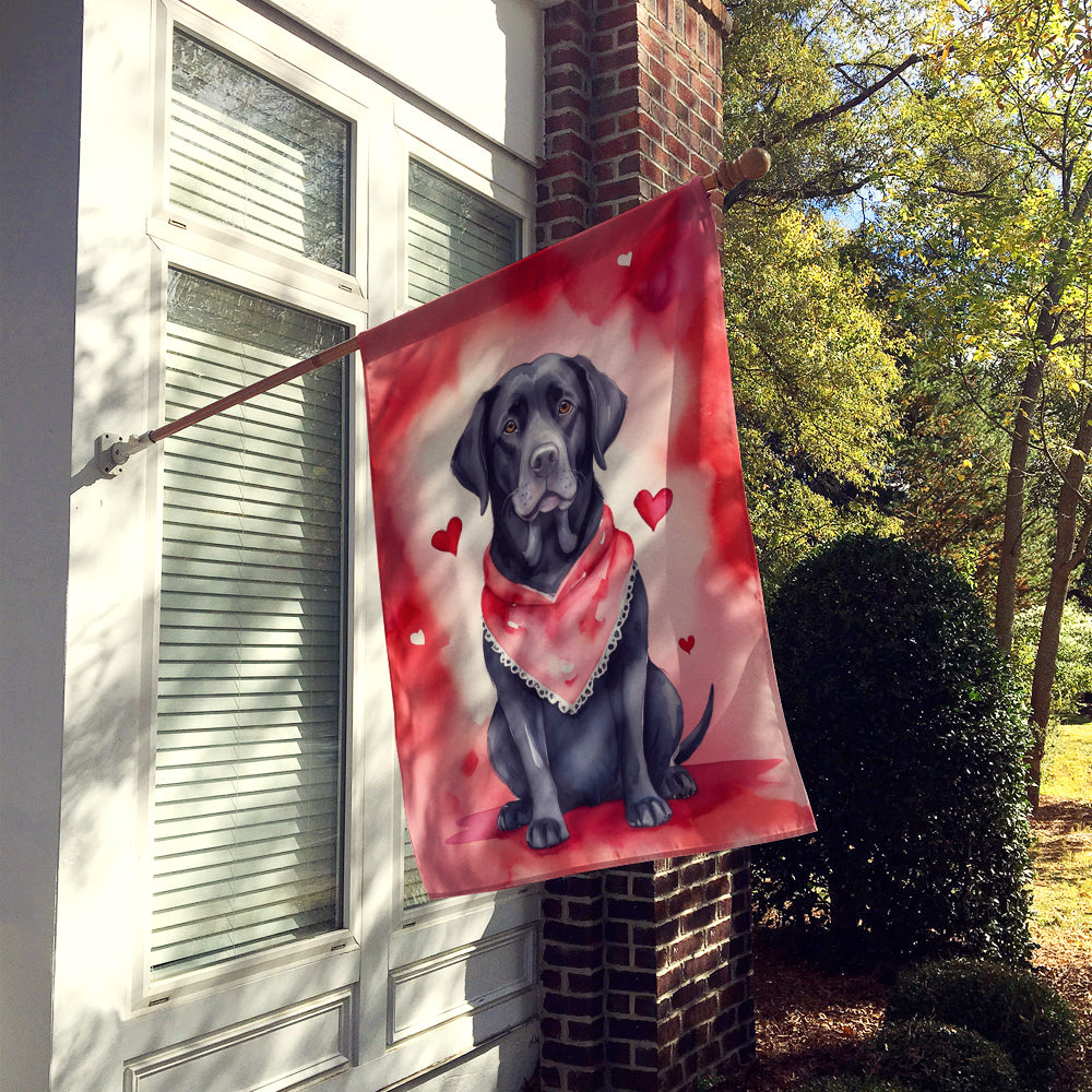 Buy this Black Labrador Retriever My Valentine House Flag