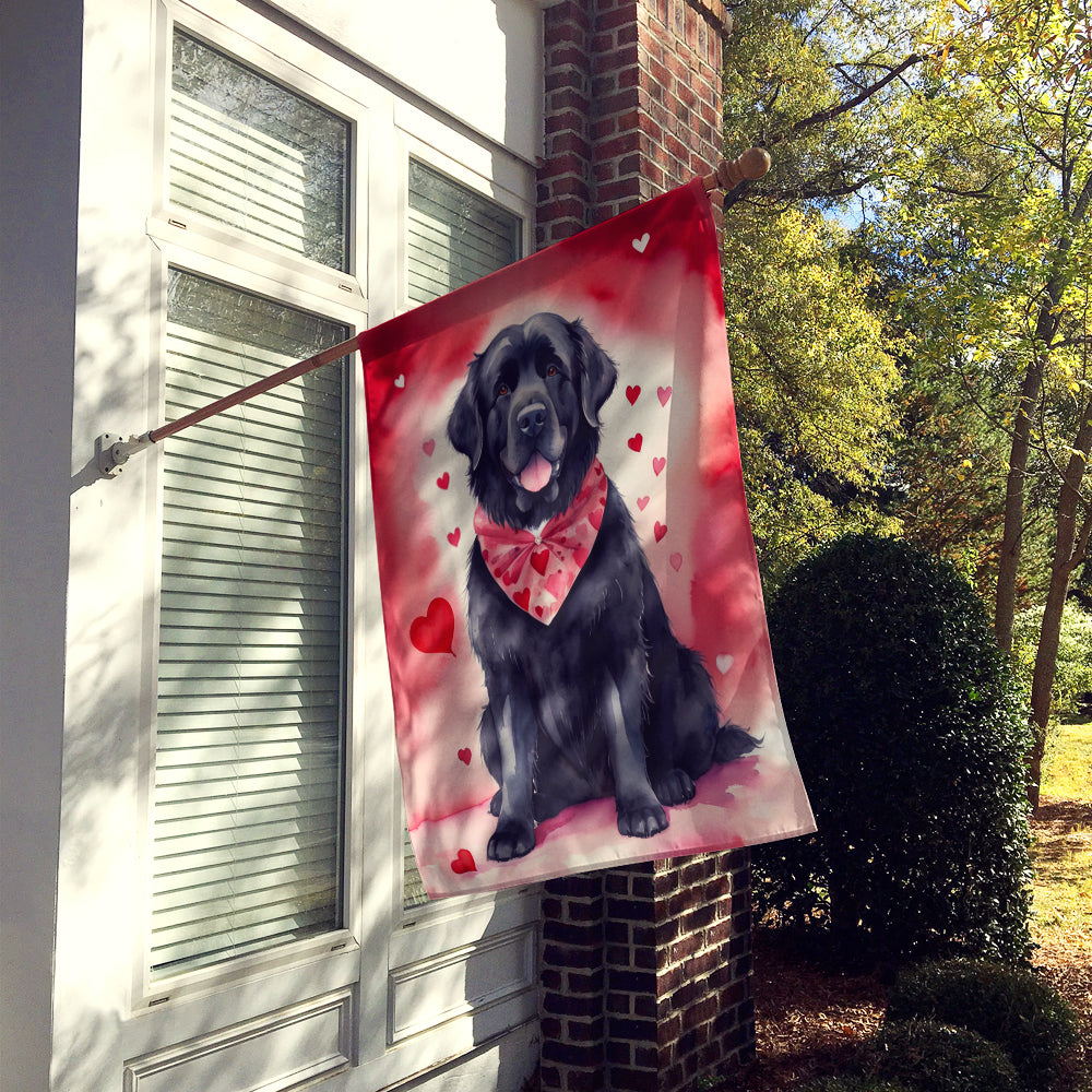 Buy this Newfoundland My Valentine House Flag