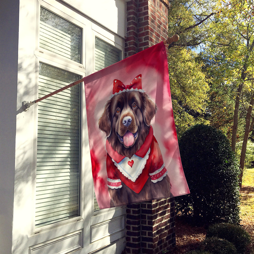 Buy this Newfoundland My Valentine House Flag