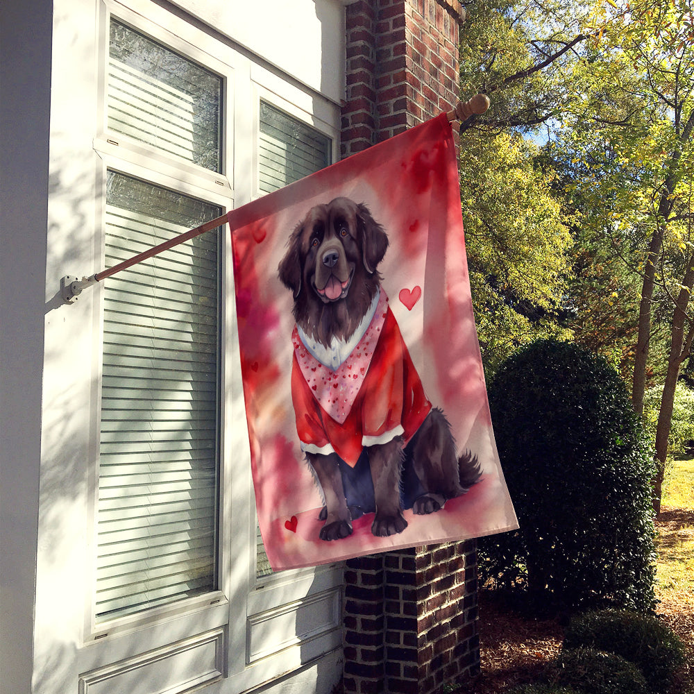 Buy this Newfoundland My Valentine House Flag