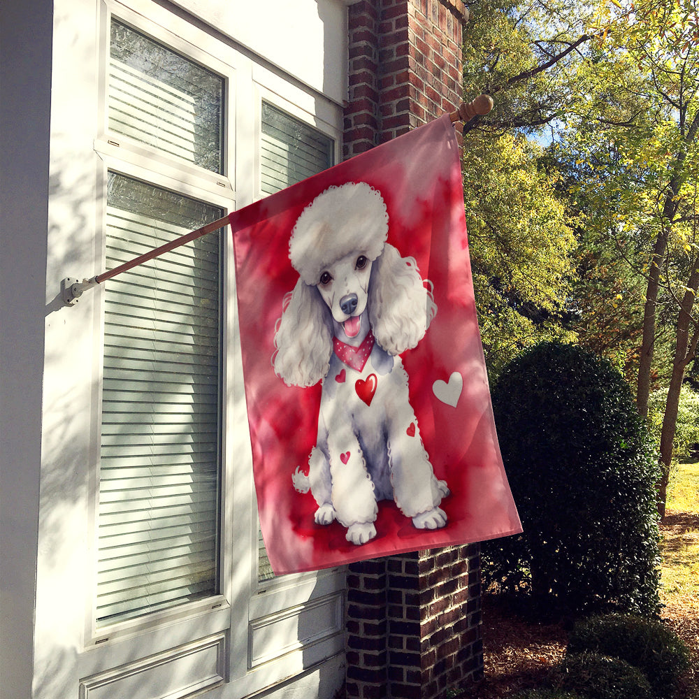 Buy this White Poodle My Valentine House Flag