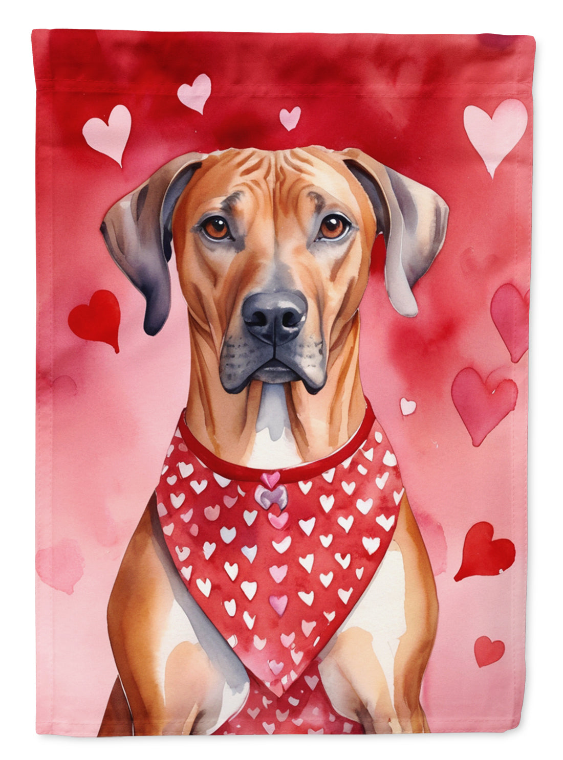 Buy this Rhodesian Ridgeback My Valentine House Flag