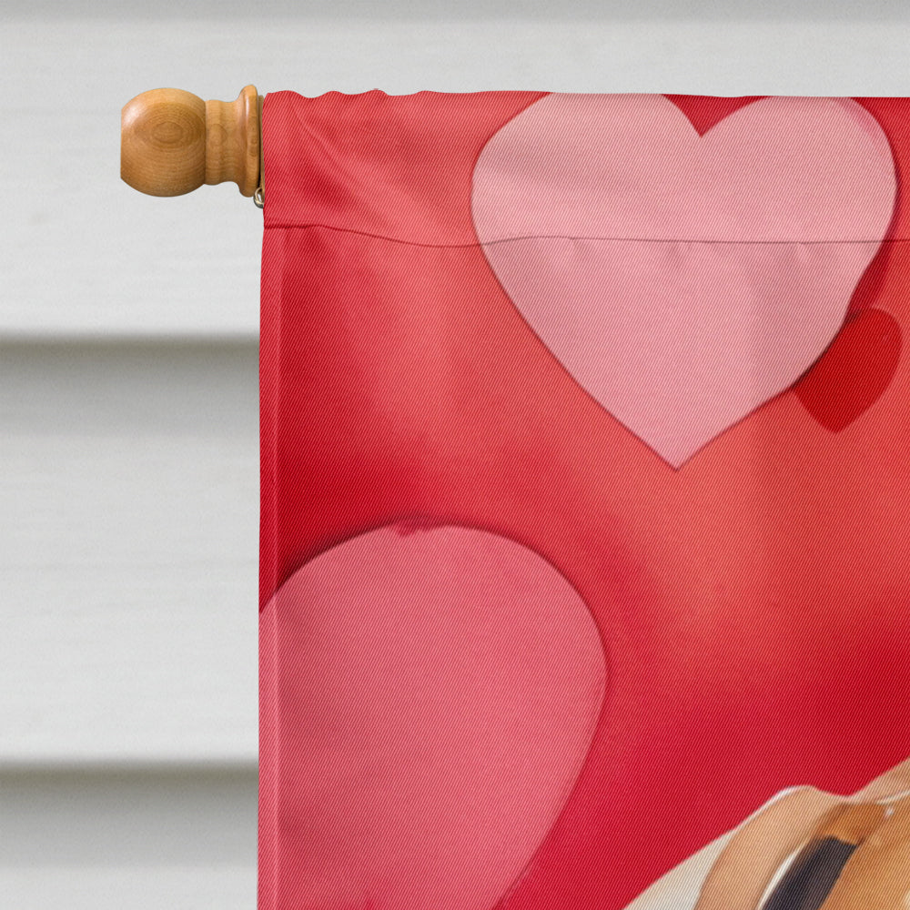 Rhodesian Ridgeback My Valentine House Flag