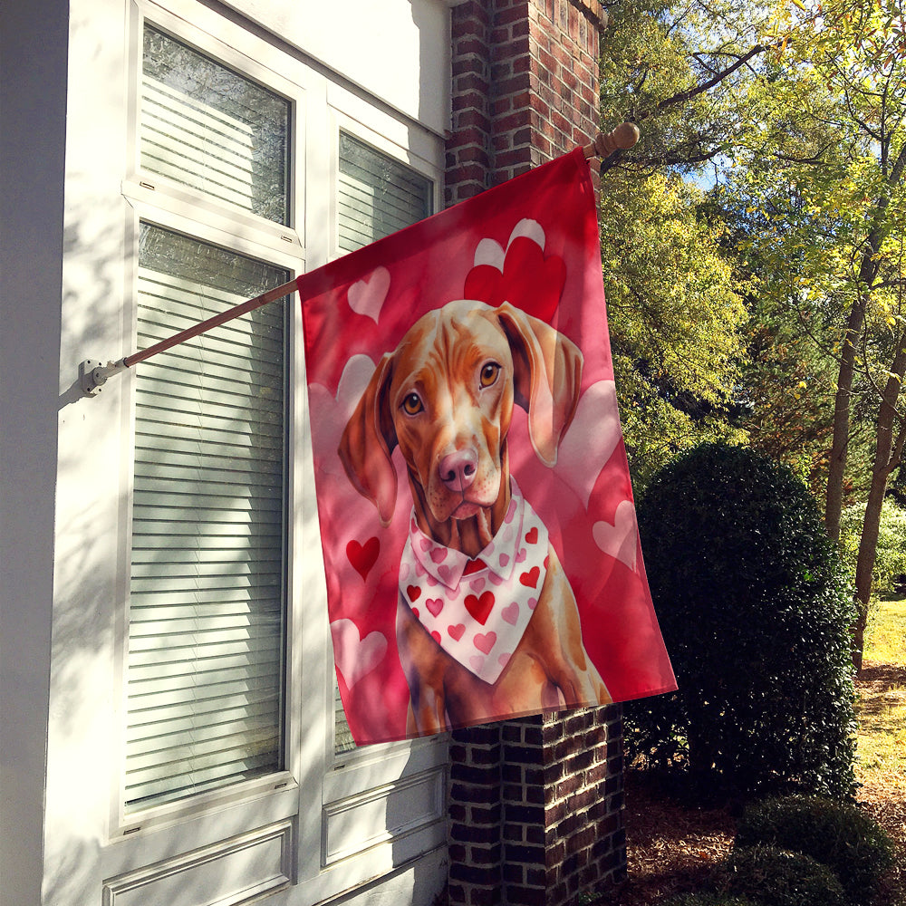 Buy this Vizsla My Valentine House Flag