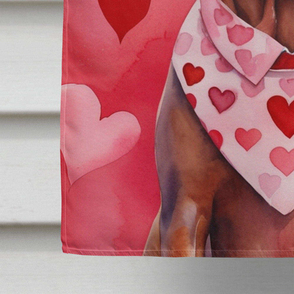 Vizsla My Valentine House Flag