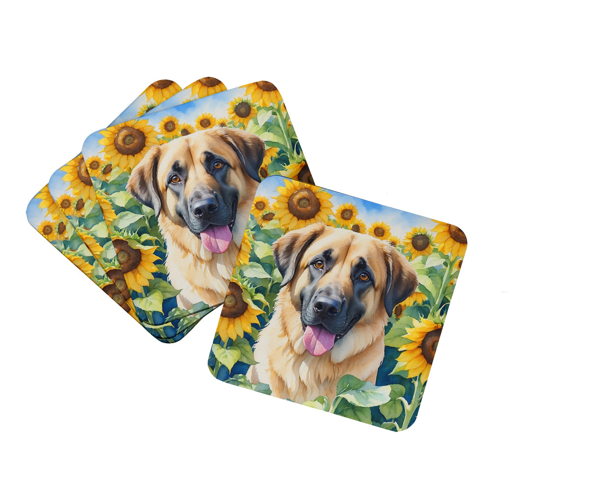 Buy this Anatolian Shepherd in Sunflowers Foam Coasters