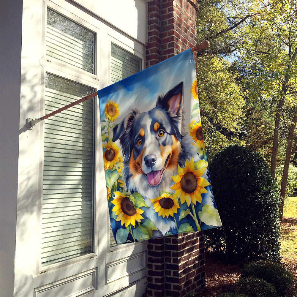 Australian Shepherd in Sunflowers House Flag